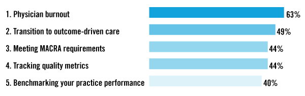 Chart of healthcare concerns by percentage